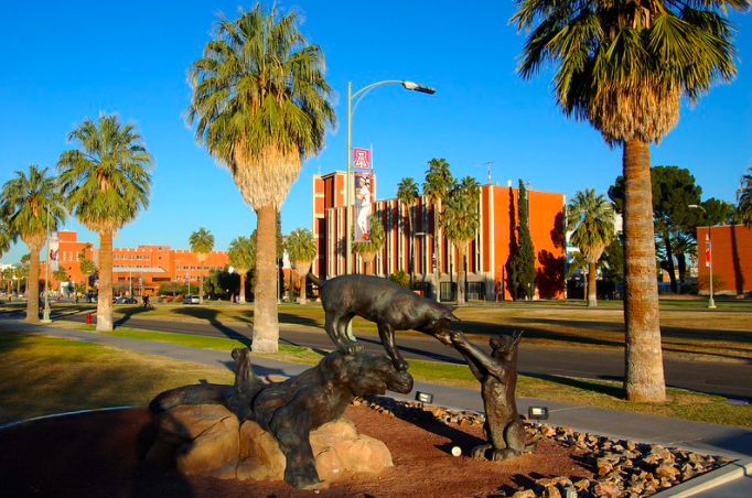 1611598480Screen Shot 2021-01-25 at 12.08.52 PM.png